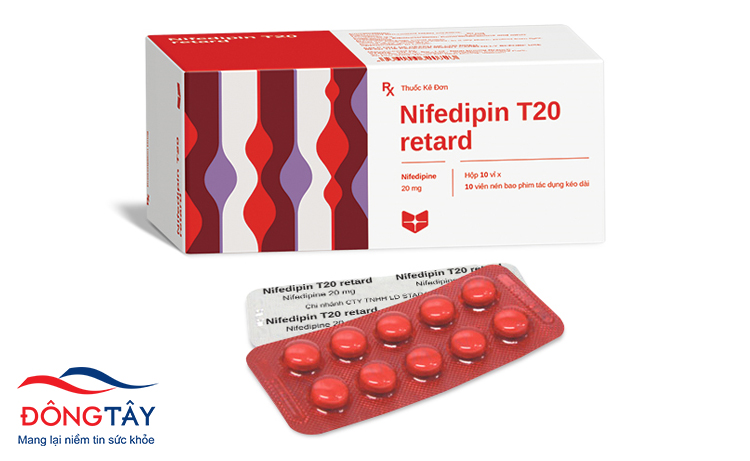Nifedipin là thuốc chẹn kênh Calci thường được dùng để điều trị bệnh mạch vành